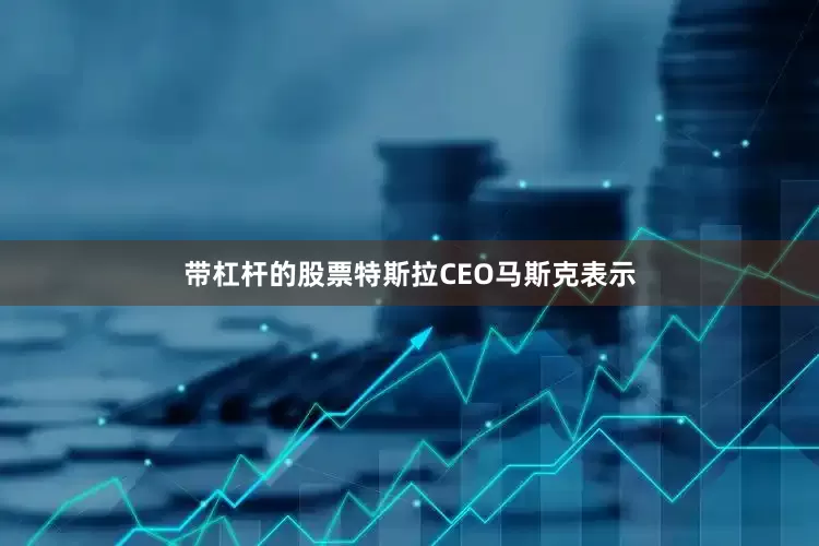 带杠杆的股票特斯拉CEO马斯克表示